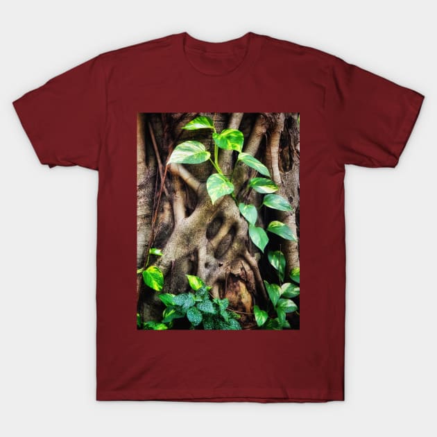 Ivy tree Brasil T-Shirt by pvjaffe